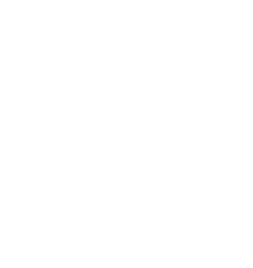 Palau Fugit Badge